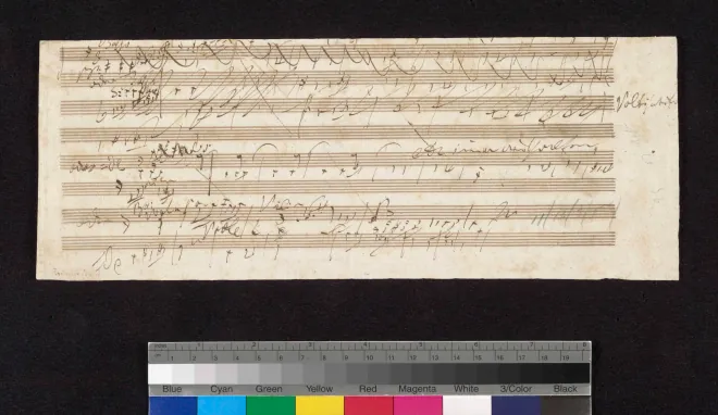 2. Allegretto