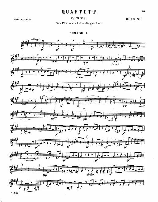 Violin 2