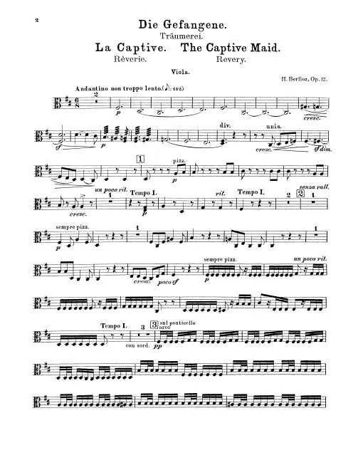Violas