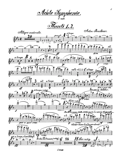 Flute 1/2, 3