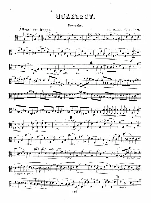 Viola