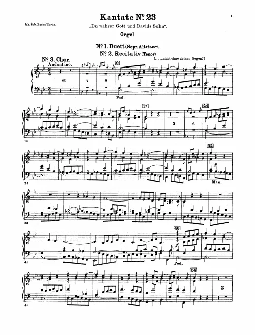 Organ