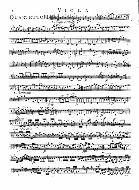 Viola