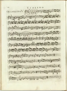 Violin