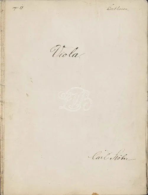 Viola
