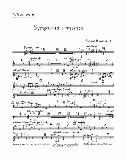 Trumpet 4 (C)