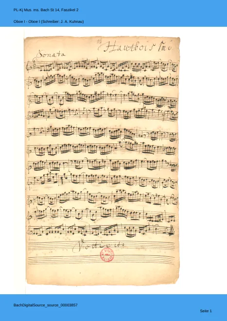 Oboe 1, Cellos