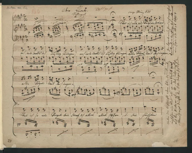 Fragment