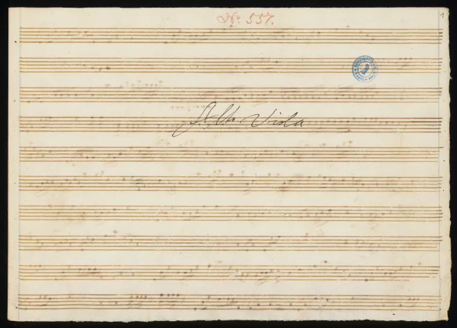 Viola