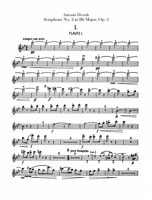 Flute 1