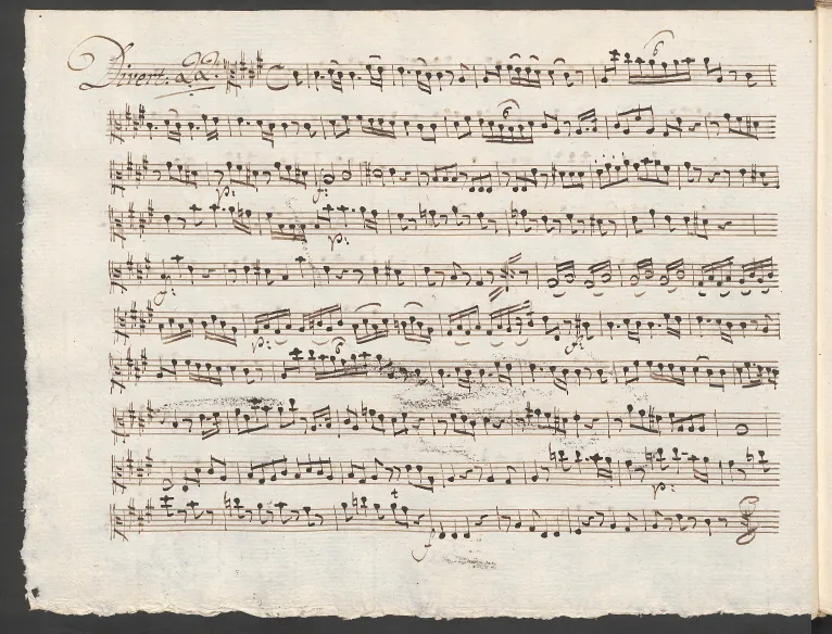 Viola