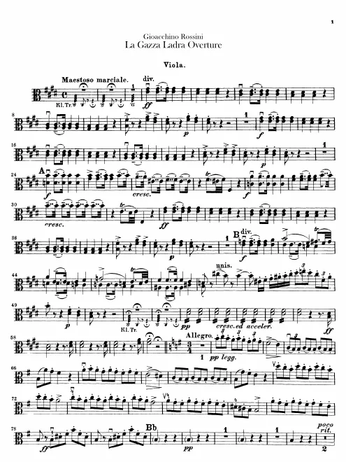 Violas