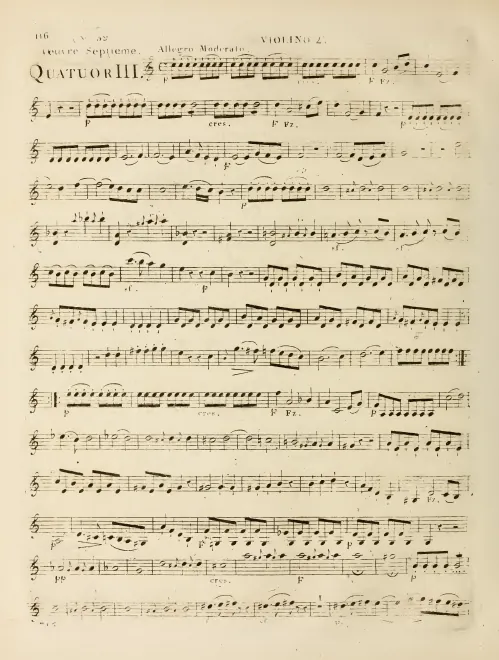 Violin 2