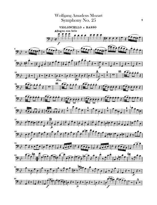 Cellos/Basses