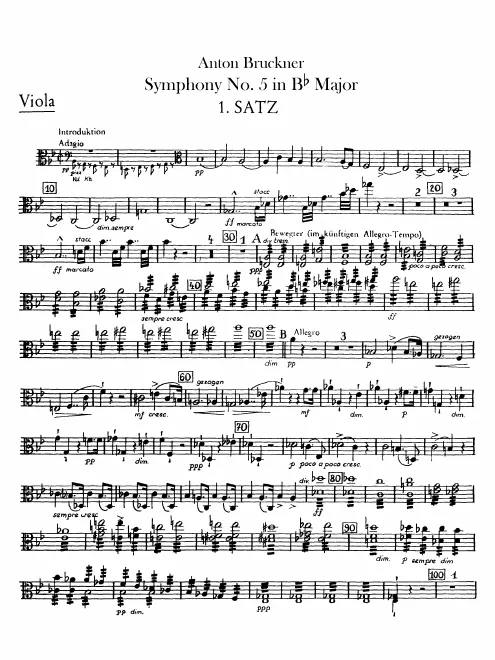 Violas