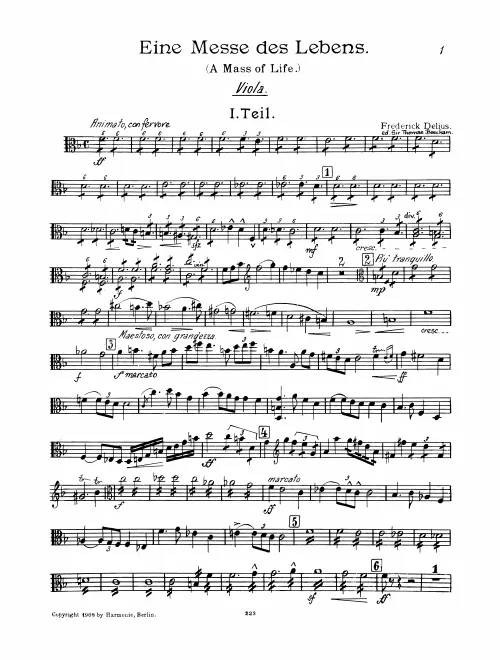 Violas