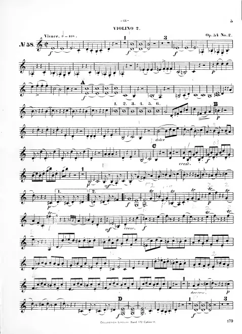 Violin 2