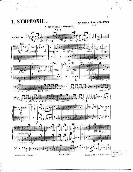 Cellos/Basses