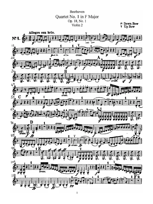 Violin 2