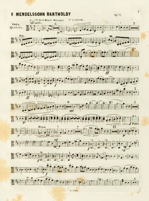 Viola