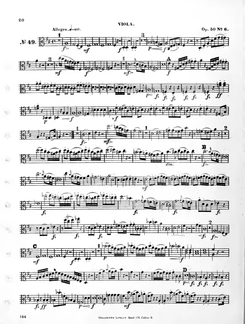 Viola