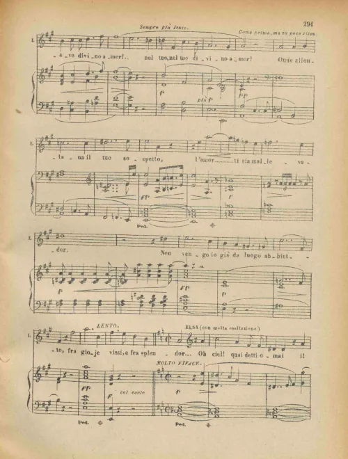Segment 4
