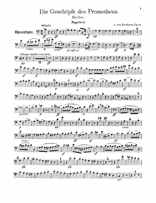 Bassoon 1