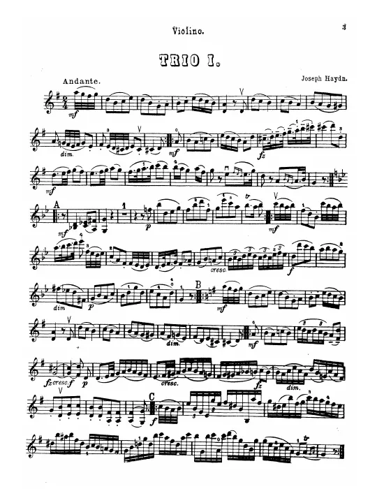 Violin