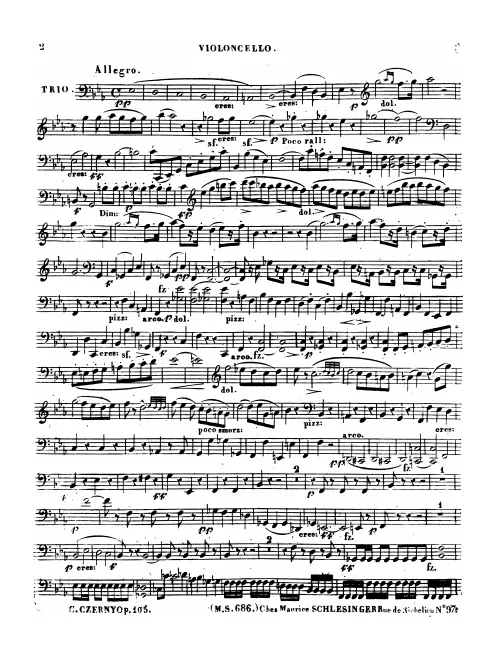 Cello