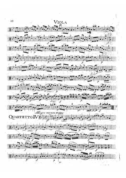 Viola
