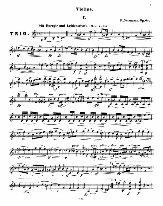 Violin