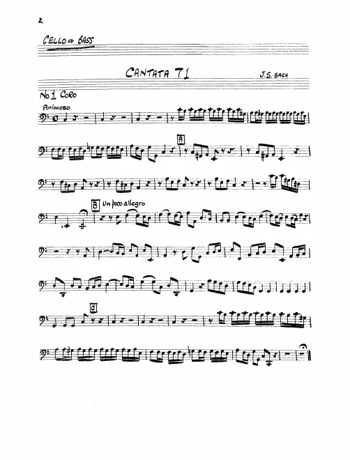 Cellos/Basses