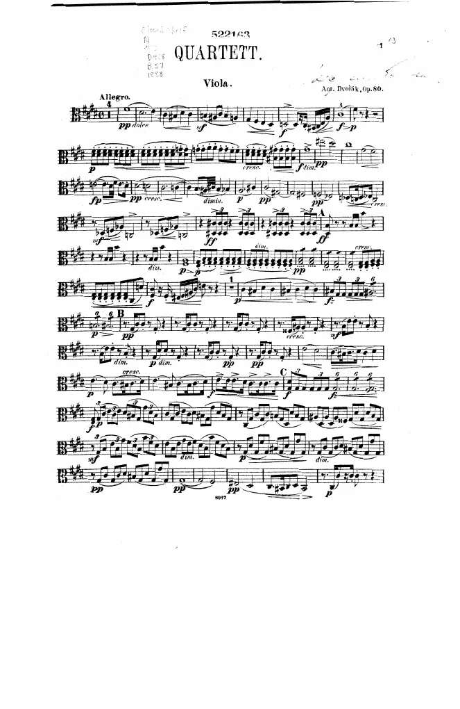Viola