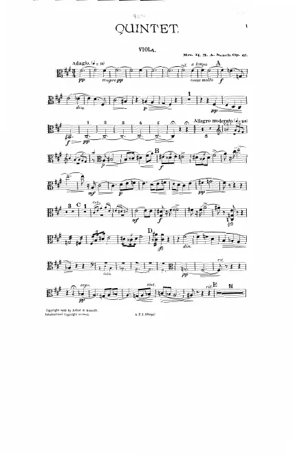 Viola