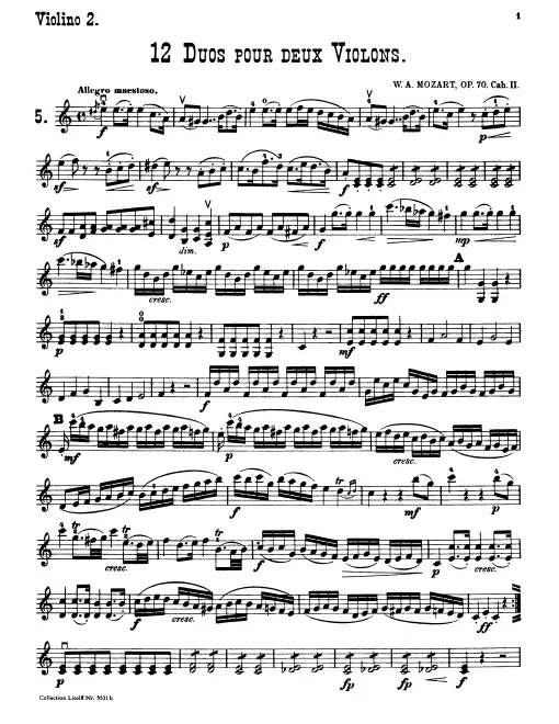 Violin 2