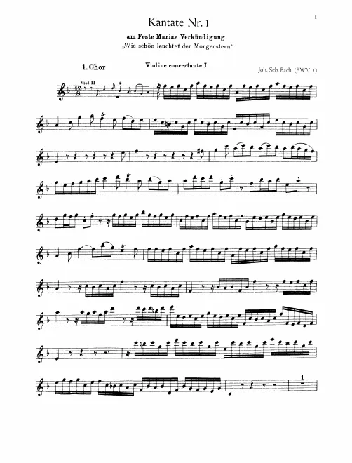Violin 1 (concertato)