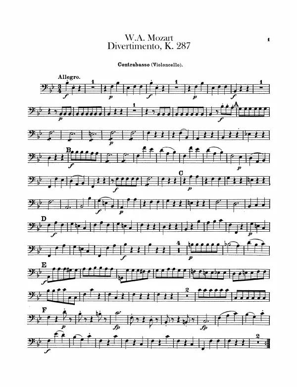 Cellos/Basses