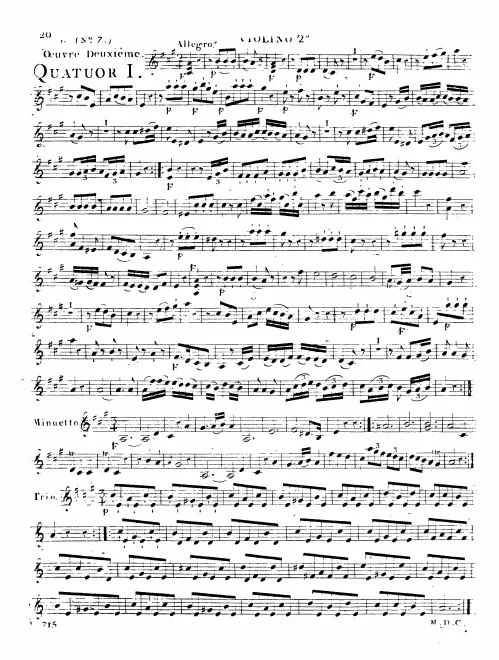 Violin 2