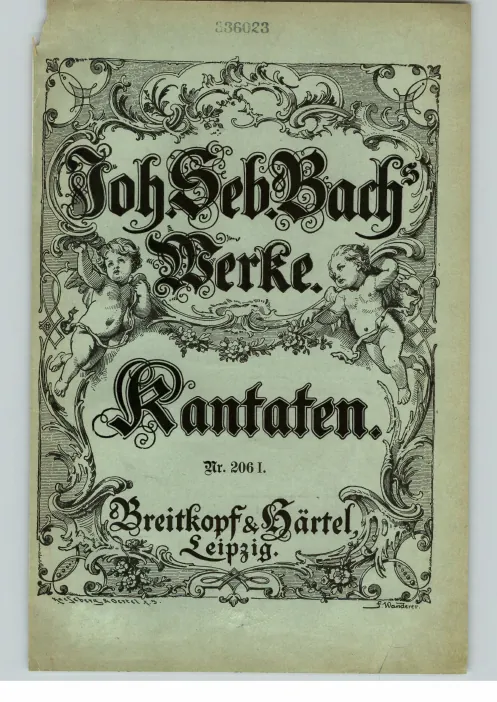 Color Cover