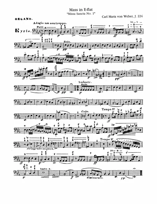 Organ