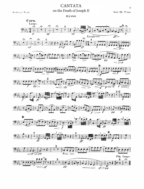 Basses