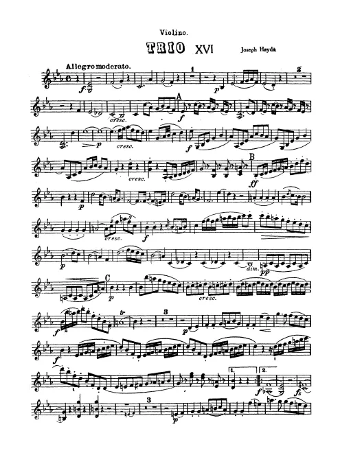 Violin