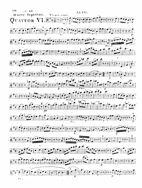 Viola