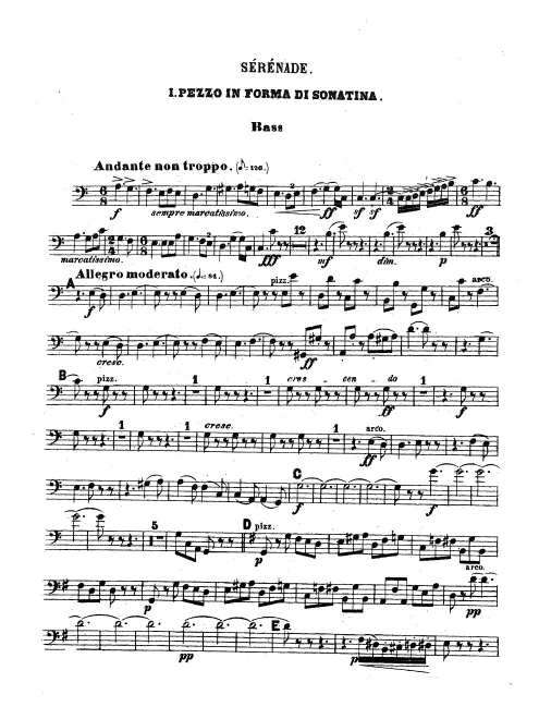 Basses