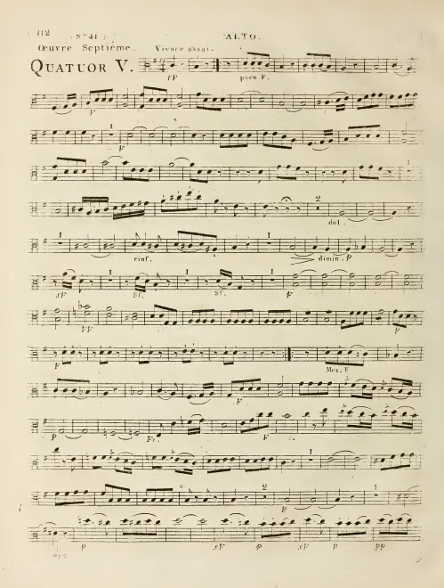 Viola
