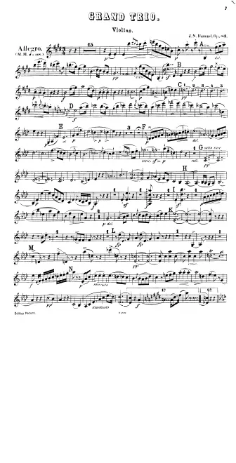 Violin