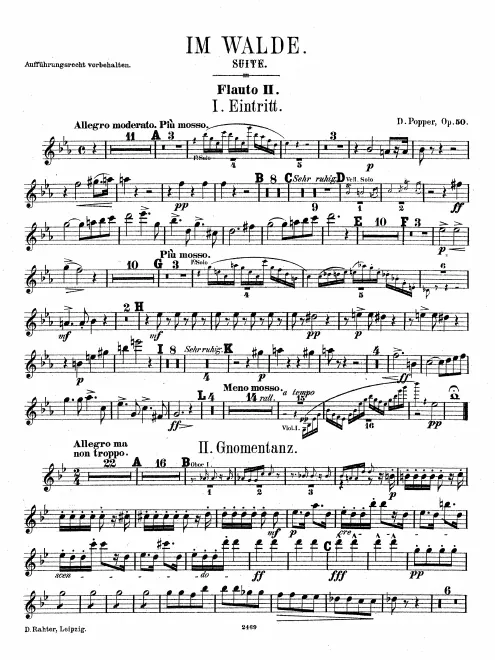 Flute 2