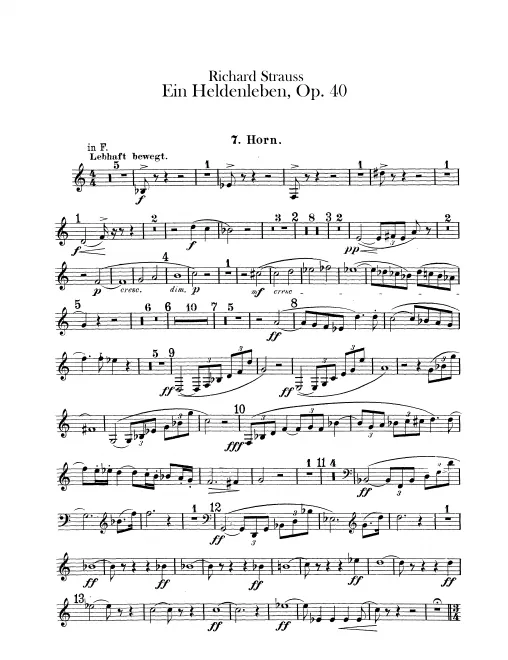 Horn 7 (F/E)
