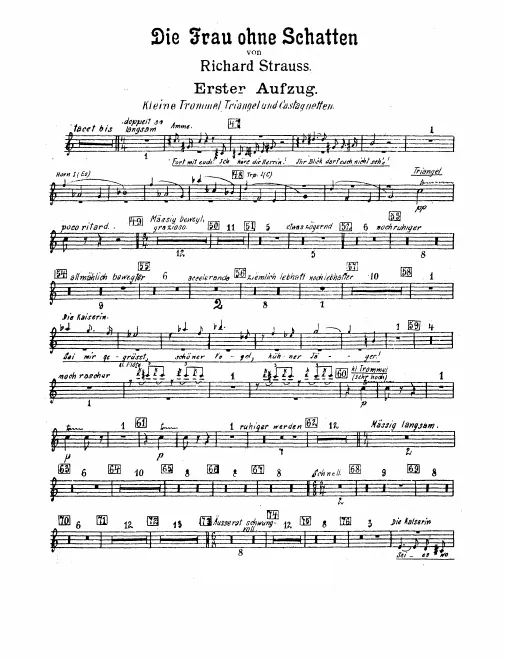 Snare Drum/Triangle/Castanets