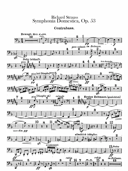 Basses